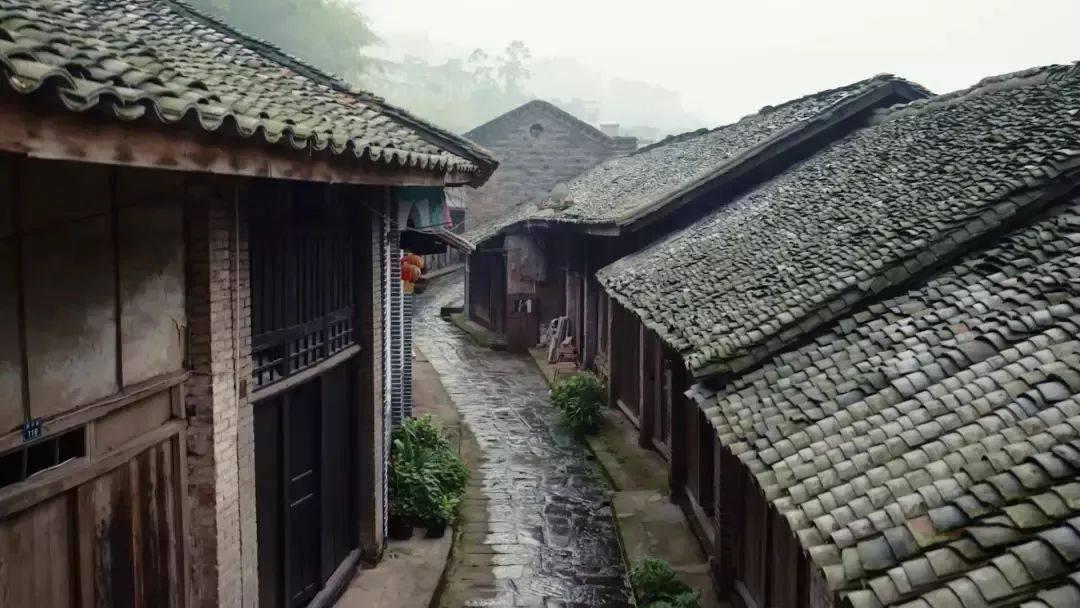 事关市值管理 上市公司集体表态!